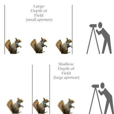 DOF and mm Comparison