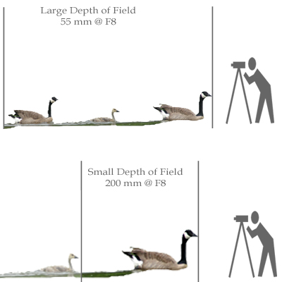 DOF and mm Comparison