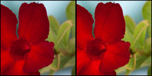 ISO Setting Comparison